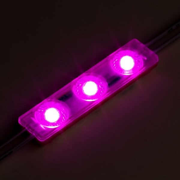 Dimmbares 12 Volt LED Modul pink 1,5 Watt 170° IP65