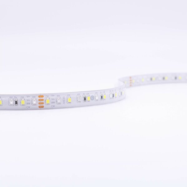 24 Volt CCT LED Streifen einstellbare Lichtfarbe 5 Meter 18W/m 120LED/m 12mm IP65 2500 - 6000 Kelvin